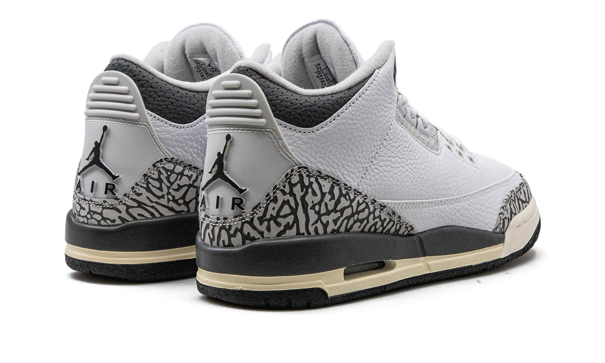Air Jordan 3 GS Hide N Sneak DX6665 100