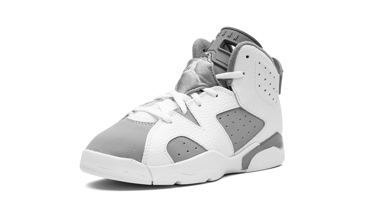 Air Jordan 6 PS Cool Grey DV3605 100